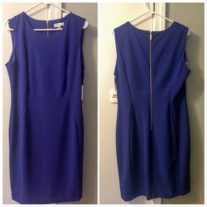 Royal Blue Calvin Klein Dress